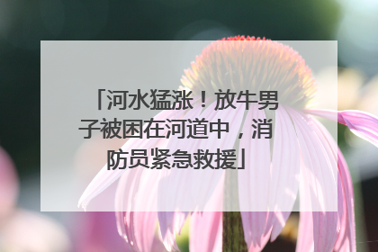 河水猛涨！放牛男子被困在河道中，消防员紧急救援