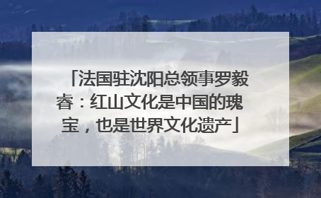 法国驻沈阳总领事罗毅睿：红山文化是中国的瑰宝，也是世界文化遗产