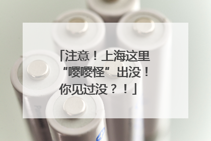 注意！上海这里“嘤嘤怪”出没！你见过没？！