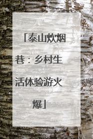 泰山炊烟巷：乡村生活体验游火爆