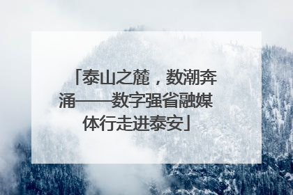 泰山之麓，数潮奔涌——数字强省融媒体行走进泰安