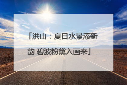 洪山：夏日水景添新韵 碧波粉黛入画来