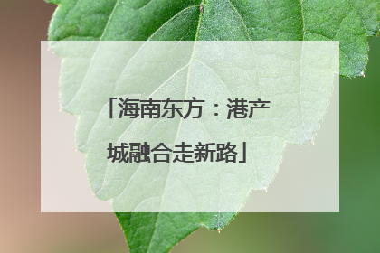 海南东方：港产城融合走新路