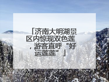 济南大明湖景区内惊现双色莲，游客直呼“好运莲莲”