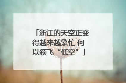 浙江的天空正变得越来越繁忙 何以领飞“低空”