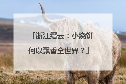浙江缙云：小烧饼何以飘香全世界？