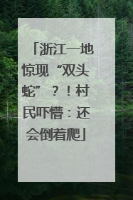 浙江一地惊现“双头蛇”？！村民吓懵：还会倒着爬