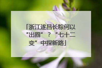 浙江遂昌长粽何以“出圈”？“七十二变”中探新路