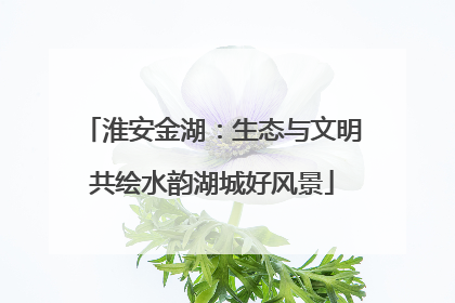 淮安金湖：生态与文明共绘水韵湖城好风景