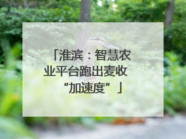 淮滨：智慧农业平台跑出麦收“加速度”