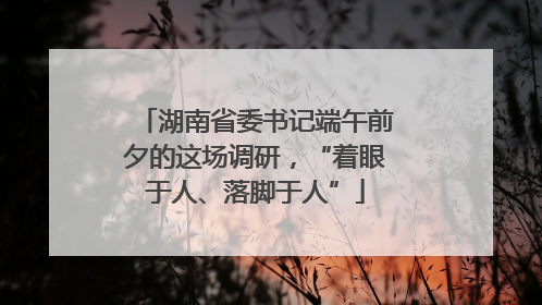 湖南省委书记端午前夕的这场调研，“着眼于人、落脚于人”