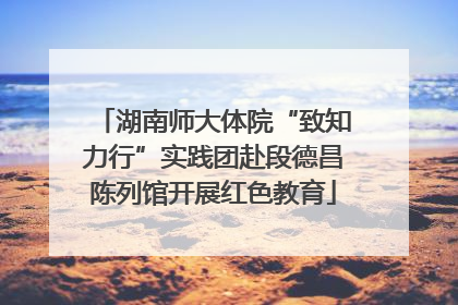 湖南师大体院“致知力行”实践团赴段德昌陈列馆开展红色教育