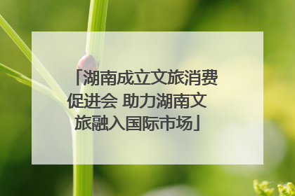 湖南成立文旅消费促进会 助力湖南文旅融入国际市场
