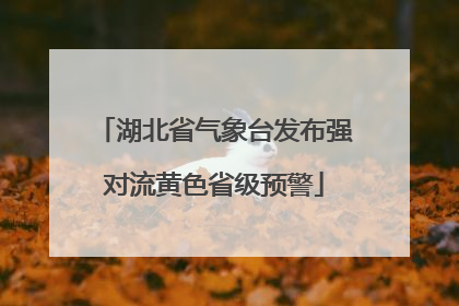 湖北省气象台发布强对流黄色省级预警