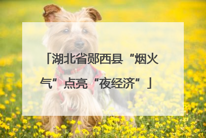 湖北省郧西县“烟火气”点亮“夜经济”