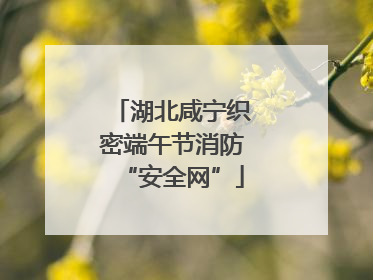 湖北咸宁织密端午节消防“安全网”