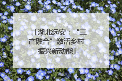湖北远安：“三产融合”激活乡村振兴新动能