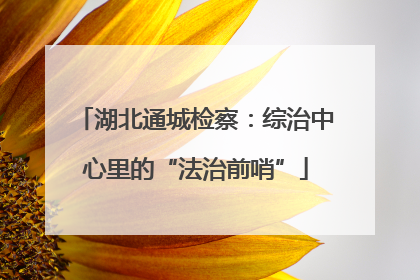 湖北通城检察：综治中心里的“法治前哨”