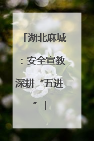 湖北麻城：安全宣教深耕“五进”