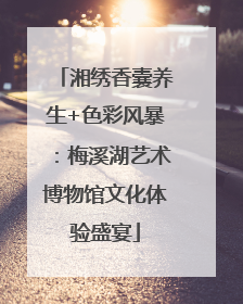 湘绣香囊养生+色彩风暴：梅溪湖艺术博物馆文化体验盛宴