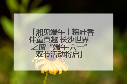 湘见端午丨粽叶香伴童真趣 长沙世界之窗“端午·六一”双节活动将启