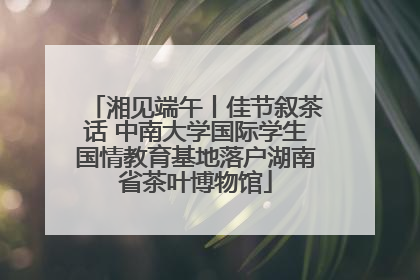 湘见端午丨佳节叙茶话 中南大学国际学生国情教育基地落户湖南省茶叶博物馆