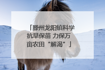 滕州龙阳镇科学抗旱保苗 力保万亩农田“解渴”