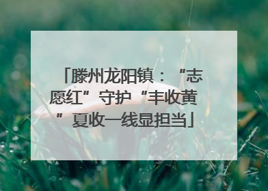 滕州龙阳镇：“志愿红”守护“丰收黄”夏收一线显担当