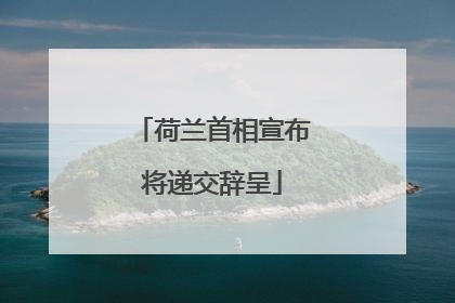 荷兰首相宣布将递交辞呈