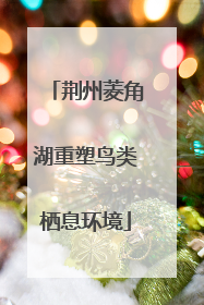 荆州菱角湖重塑鸟类栖息环境