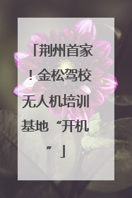 荆州首家！金松驾校无人机培训基地“开机”