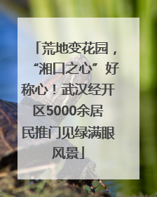 荒地变花园，“湘口之心”好称心！武汉经开区5000余居民推门见绿满眼风景
