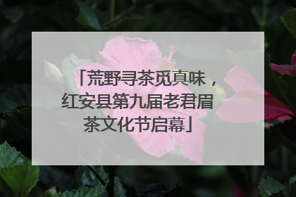 荒野寻茶觅真味，红安县第九届老君眉茶文化节启幕