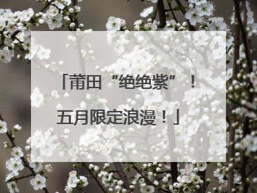 莆田“绝绝紫”！五月限定浪漫！