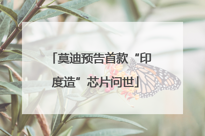莫迪预告首款“印度造”芯片问世