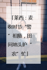 莱西：麦收时节“警”相随，田间地头护“农”忙