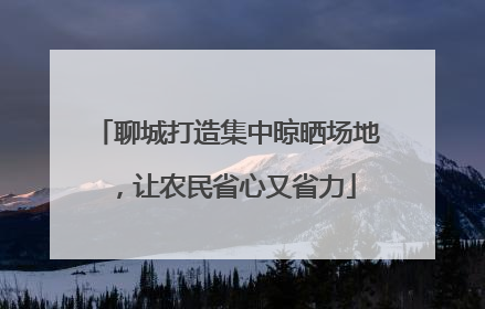 聊城打造集中晾晒场地，让农民省心又省力