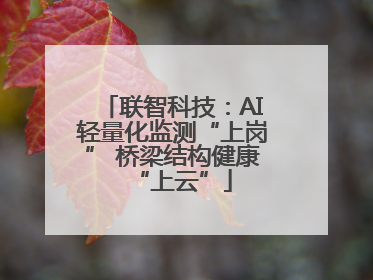 联智科技：AI轻量化监测“上岗” 桥梁结构健康“上云”