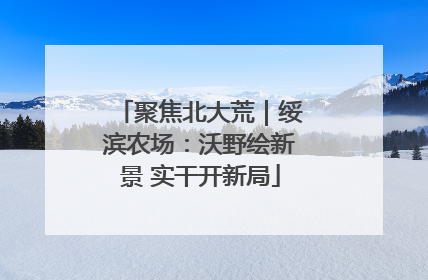 聚焦北大荒｜绥滨农场：沃野绘新景 实干开新局