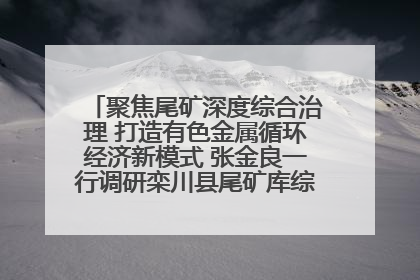 聚焦尾矿深度综合治理 打造有色金属循环经济新模式 张金良一行调研栾川县尾矿库综合治理工作