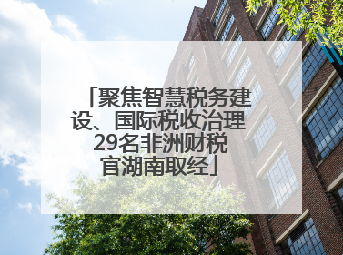 聚焦智慧税务建设、国际税收治理 29名非洲财税官湖南取经