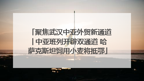 聚焦武汉中亚外贸新通道│中亚班列开辟双通道 哈萨克斯坦饲用小麦将抵鄂