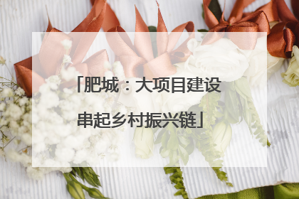 肥城：大项目建设串起乡村振兴链