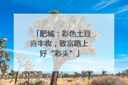肥城：彩色土豆喜丰收，致富路上好“彩头”