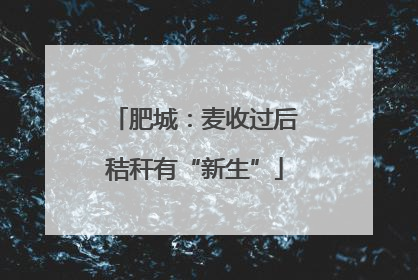 肥城：麦收过后秸秆有“新生”