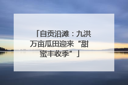 自贡沿滩：九洪万亩瓜田迎来“甜蜜丰收季”