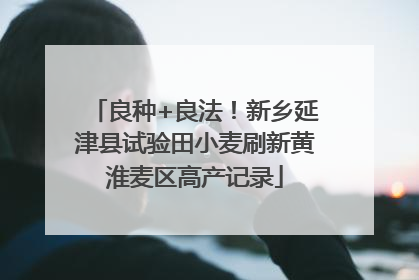 良种+良法！新乡延津县试验田小麦刷新黄淮麦区高产记录