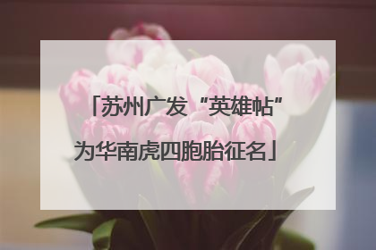 苏州广发“英雄帖”为华南虎四胞胎征名