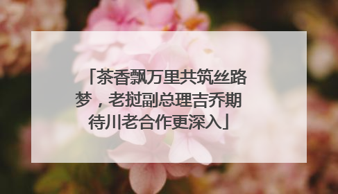 茶香飘万里共筑丝路梦，老挝副总理吉乔期待川老合作更深入