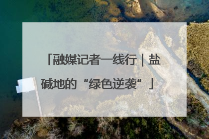 融媒记者一线行｜盐碱地的“绿色逆袭”